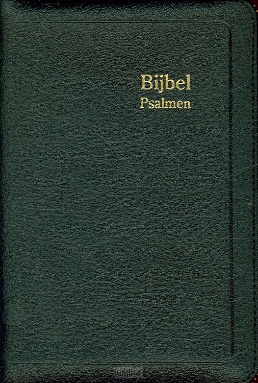 Dameszakbijbel D35R RITMISCH leer goudsn