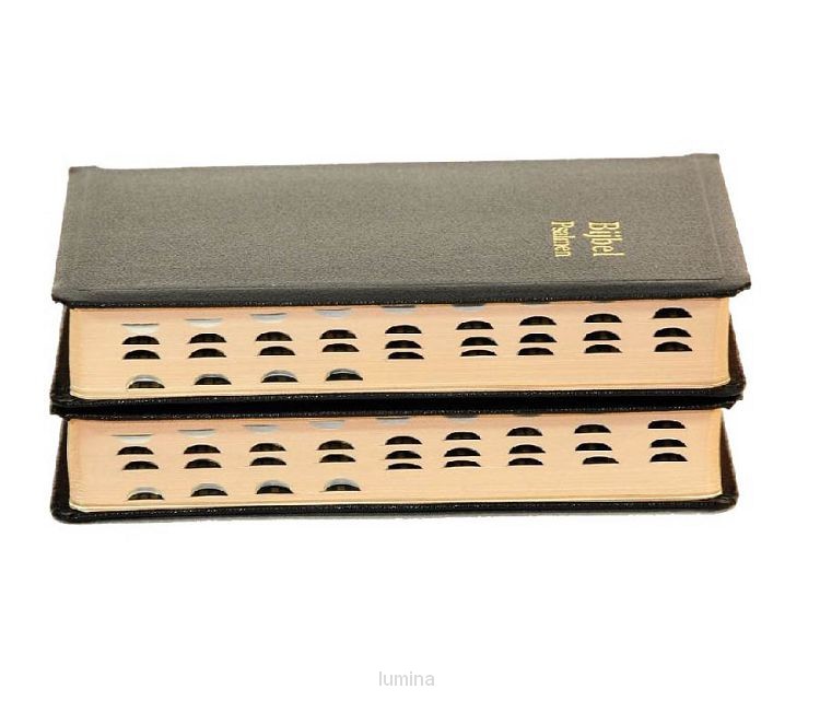 Dameszakbijbel D33 RITMISCH kunstleer