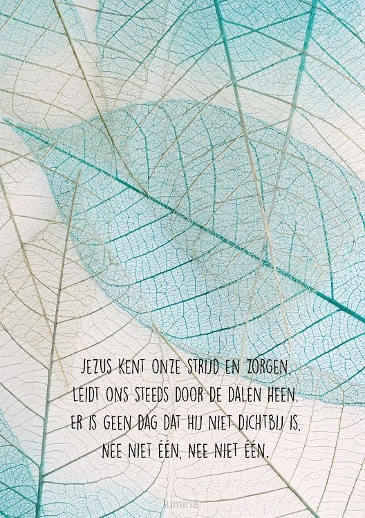 Wenskaart Jezus kent onze strijd en zorg