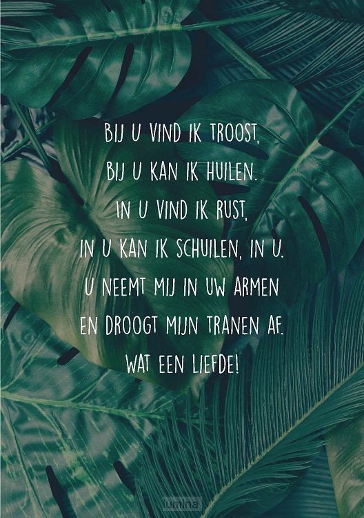 Wenskaart Bij U vind ik troost