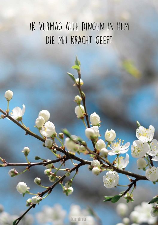 Wenskaart Ik vermag alle dingen in Hem