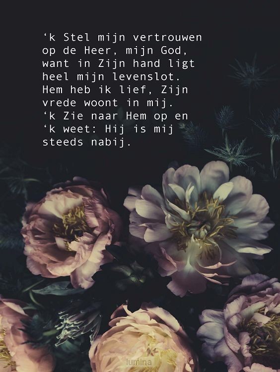 Wenskaart Stel mijn vertrouwen