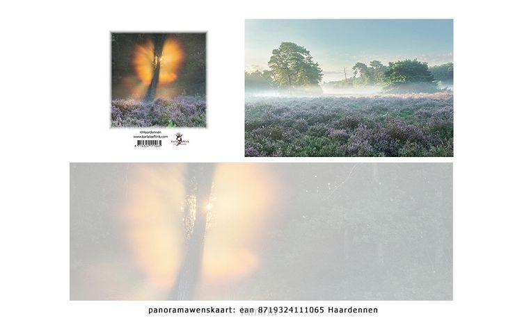 Panoramawenskaart zt haardennen