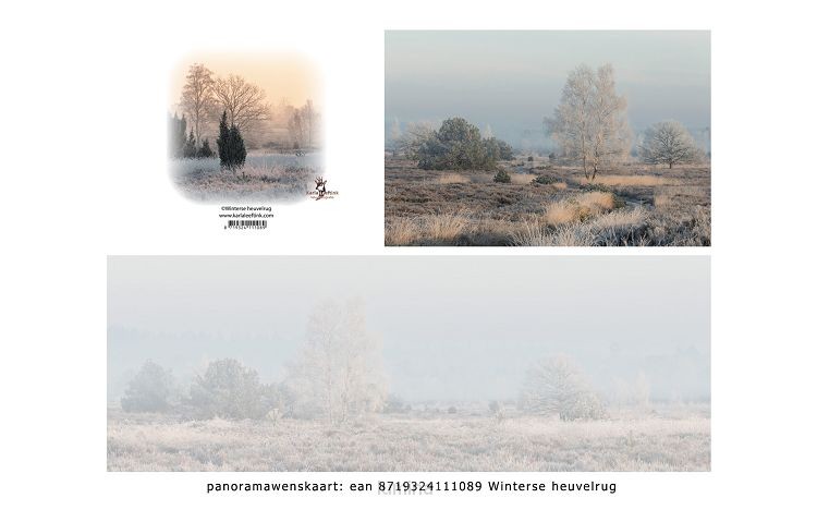 Panoramawenskaart zt winterse heuvelrug