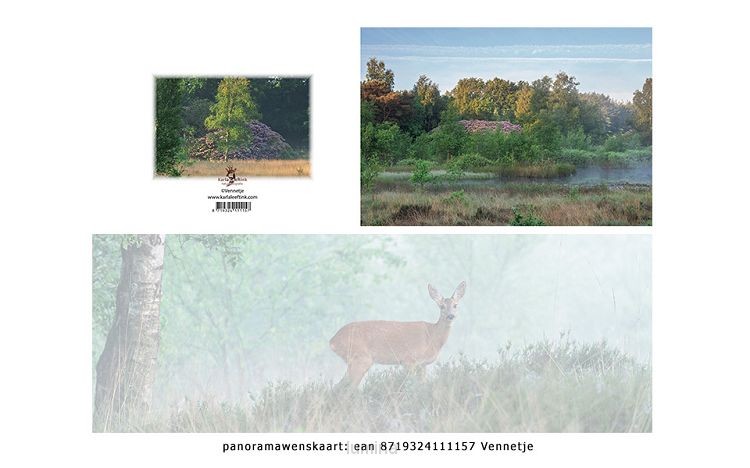 Panoramawenskaart zt vennetje