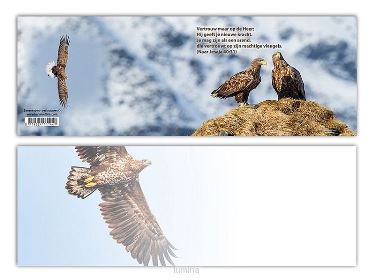 Panoramawenskaart mt zeearenden vertrouw