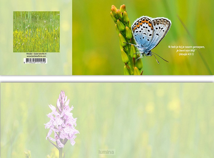 Panoramawenskaart vlinder Gods belofte