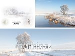 Panoramawenskaart winterbeek