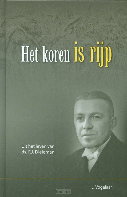 Koren is rijp