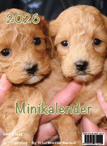 Minikalender 2026 met mooie afbeeldingen
