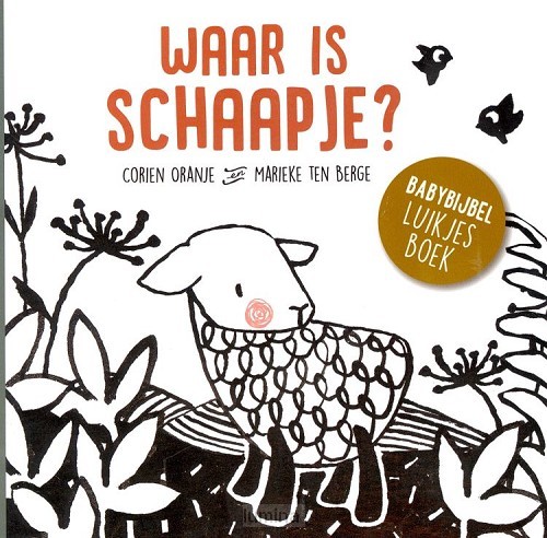 Waar is schaapje kartonboek