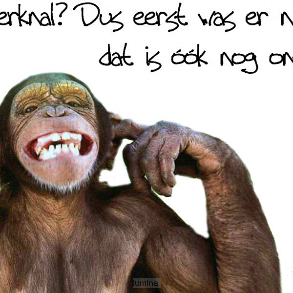 Choice kaartje oerknal?
