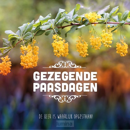 Kaart gezegende paasdagen gele bloesem