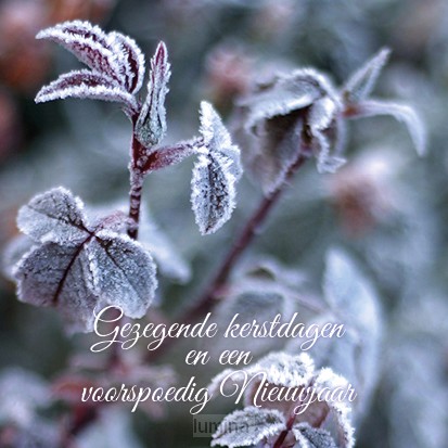 Kerstkaart gezegende kerstd roodgroene