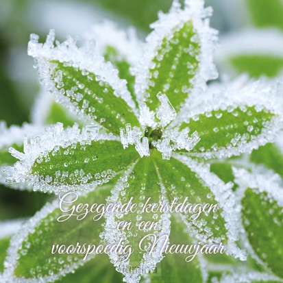 Kerstkaart gezegende kerstd groen bevror