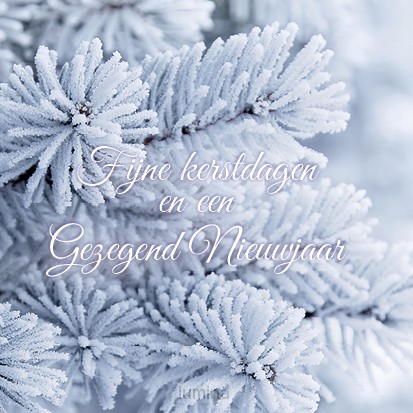 Kerstkaart fijne kerstdagen besneeuwde