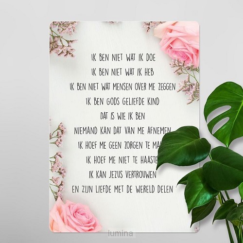 Interieurbord A4 credo roos