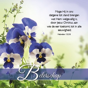 Kaart beterschap