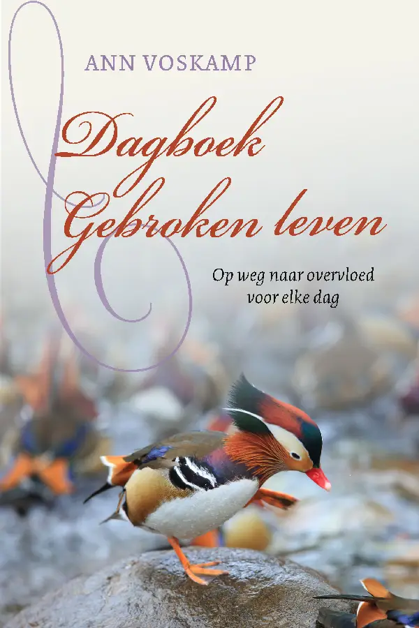 Dagboek gebroken leven