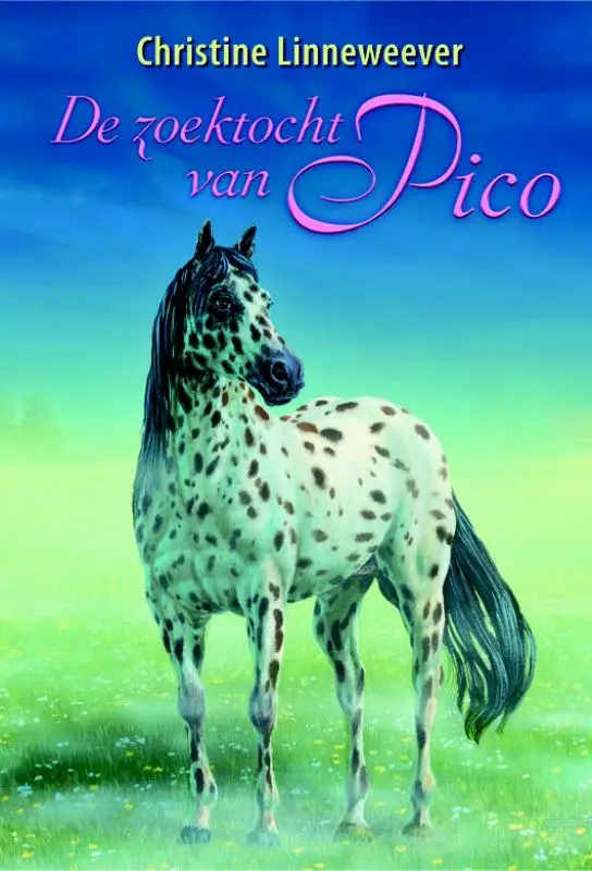 Zoektocht van pico