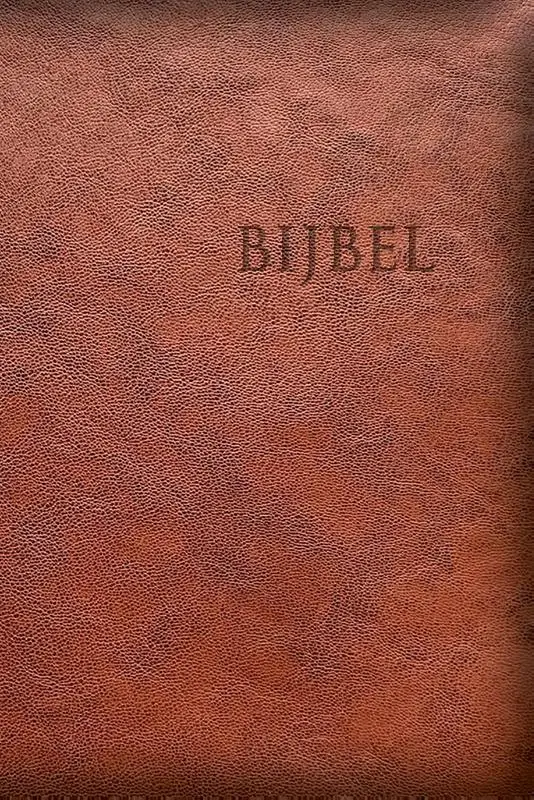 Edge line Bijbel HSV bruin leer