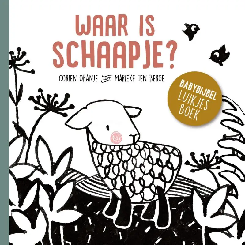 Waar is schaapje kartonboek