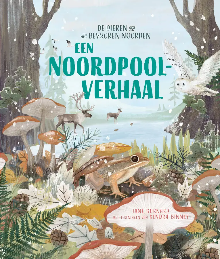 Noordpoolverhaal